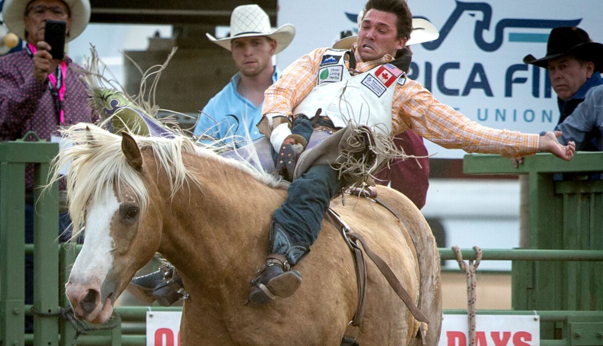 Tremonton cowboy consistently winning money at WNFR News, Sports, Jobs StandardExaminer